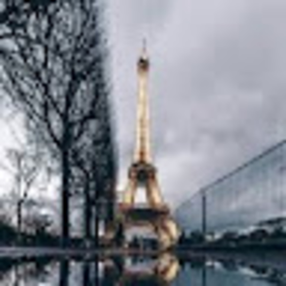 Meet your Posher, Bernie